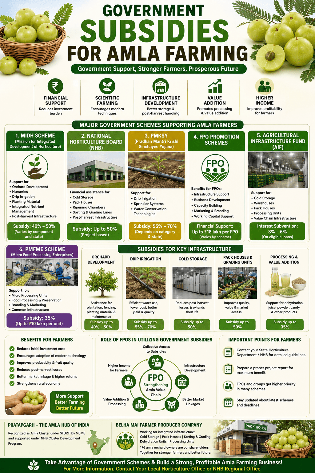 Government subsidies for amla farming infographic showing MIDH, NHB, drip irrigation, cold storage, pack houses, and FPO support.