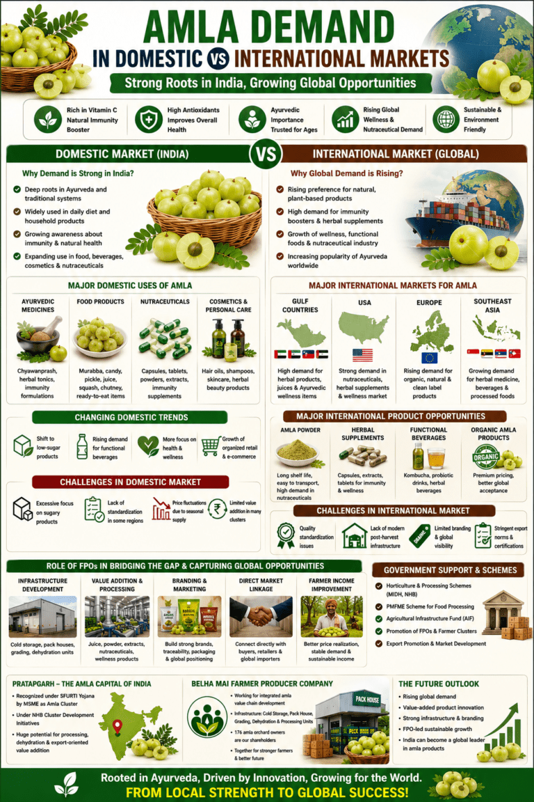 Amla demand in domestic vs international markets infographic showing exports, nutraceuticals, wellness products, processing, and global market opportunities.