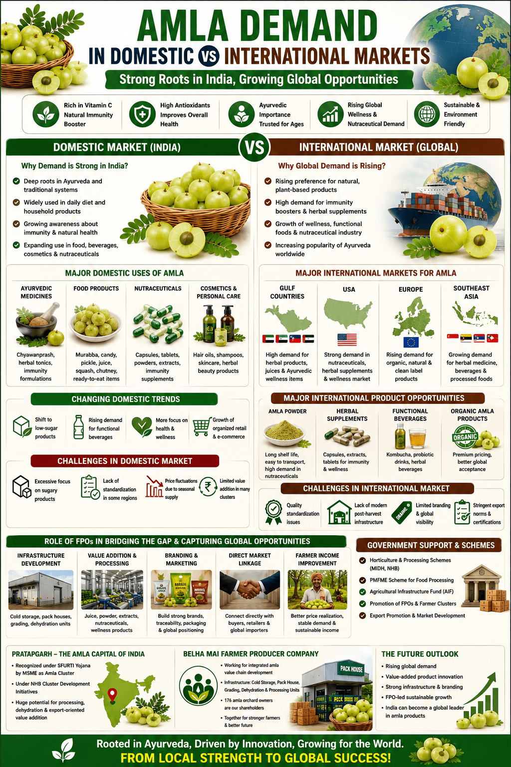 Amla demand in domestic vs international markets infographic showing exports, nutraceuticals, wellness products, processing, and global market opportunities.