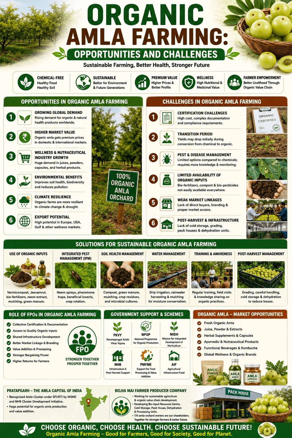 Organic amla farming opportunities and challenges infographic showing organic orchards, bio-inputs, certification, pest management, and FPO-led sustainable agriculture.