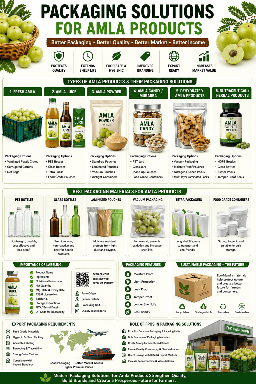 Packaging solutions for amla products infographic showing juice bottles, powder pouches, vacuum packaging, labeling systems, and export packaging infrastructure.
