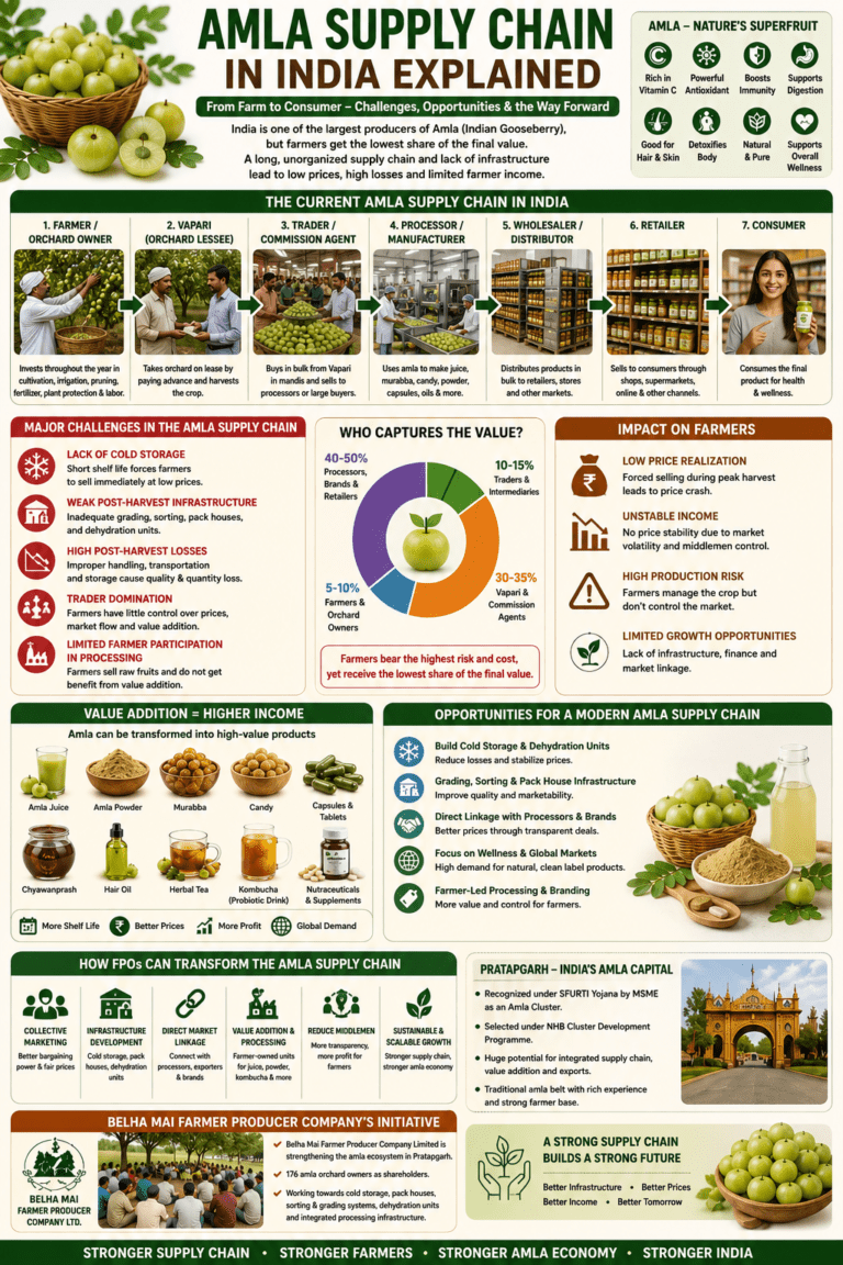 Amla supply chain in India collage infographic showing farmers, traders, processors, value addition, post-harvest systems, and FPO-led infrastructure.