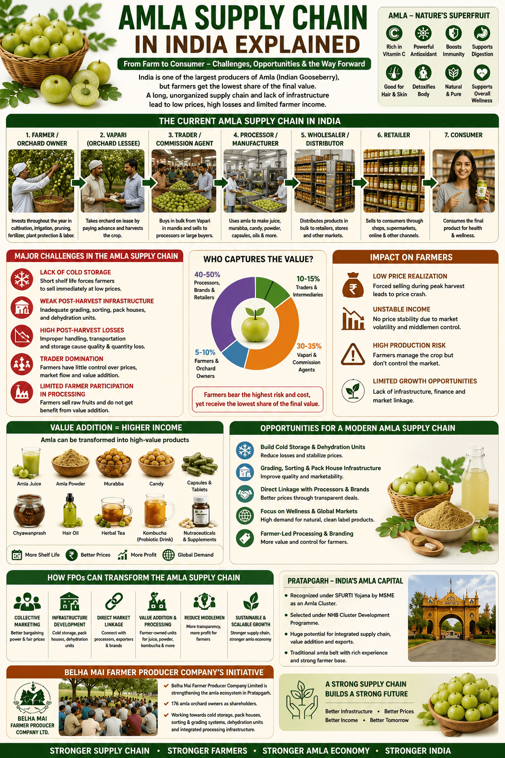 Amla supply chain in India collage infographic showing farmers, traders, processors, value addition, post-harvest systems, and FPO-led infrastructure.