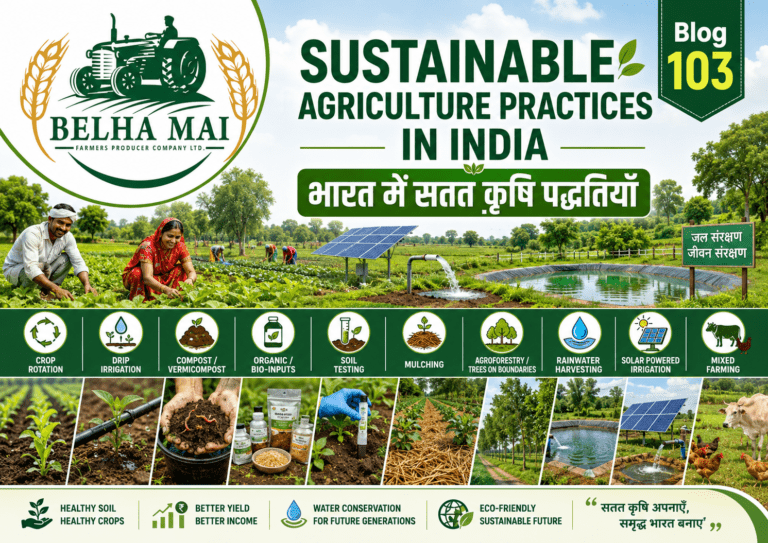 Sustainable agriculture practices in India showing crop rotation, drip irrigation, compost, soil testing, agroforestry, rainwater harvesting and FPO support