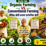 Organic farming vs conventional farming showing compost, bio-inputs, chemical fertilizers, soil health, productivity and farmer decision making