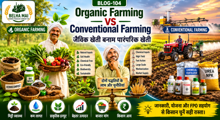 Organic farming vs conventional farming showing compost, bio-inputs, chemical fertilizers, soil health, productivity and farmer decision making