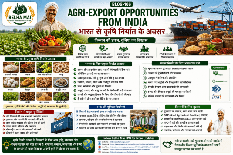Agri-export opportunities from India showing farmers, FPOs, global market, shipping containers, quality products, packaging and export linkage