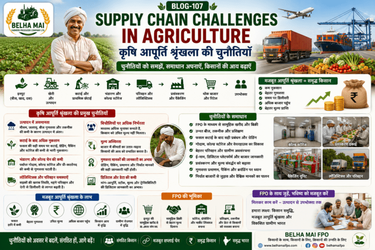 Supply chain challenges in agriculture showing storage problems, transport issues, post-harvest losses, cold chain gaps, market linkage and FPO solutions