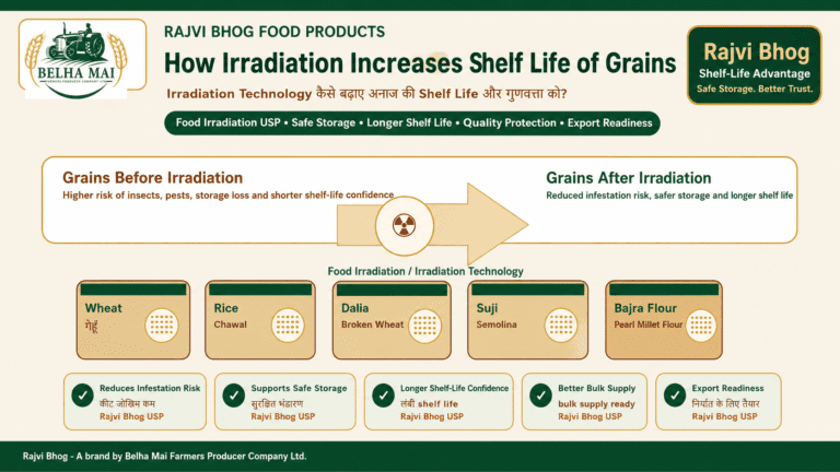 How Irradiation Increases Shelf Life of Grains showing wheat rice Dalia Broken Wheat Suji Semolina Bajra Flour Pearl Millet Flour safe storage and Rajvi Bhog food products by Belha Mai FPO
