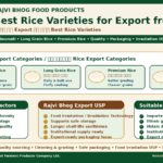 Best Rice Varieties for Export from India showing Basmati Rice Long Grain Rice Premium Rice Super Premium Rice food irradiation safe packaging and Rajvi Bhog rice products by Belha Mai FPO