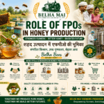 Role of FPOs in honey production with Belha Bees Natural Honey and Belha Mai FPO logo