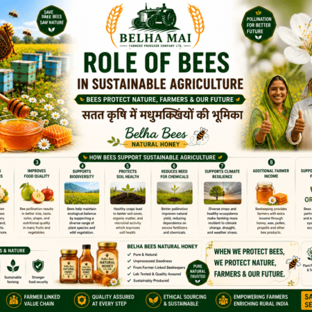 Role of bees in sustainable agriculture with Belha Bees Natural Honey and Belha Mai FPO logo