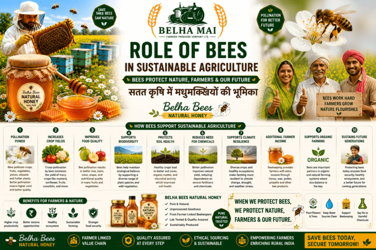 Role of bees in sustainable agriculture with Belha Bees Natural Honey and Belha Mai FPO logo