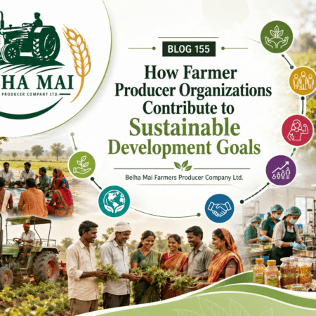How Farmer Producer Organizations contribute to Sustainable Development Goals through rural development, women empowerment, sustainable agriculture, and partnerships