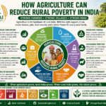 How Agriculture Can Reduce Rural Poverty in India through farmer income, sustainable farming, value addition, rural jobs, women empowerment, and market linkages