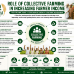 Role of Collective Farming in Increasing Farmer Income through shared resources, lower costs, better markets, value addition, and FPO-led growth