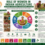 Role of Women in Indian Agriculture through crop production, livestock, post-harvest work, value addition, FPO participation, and rural development