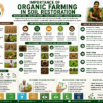 Importance of Organic Farming in Soil Restoration through compost, organic matter, soil microbes, crop rotation, bio-inputs, and sustainable agriculture