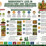 Biodiversity Loss in Agriculture and Solutions through diversified farming, agroforestry, natural farming, native seeds, pollinator protection, and FPO-led sustainable agriculture