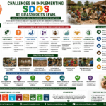 Challenges in Implementing SDGs at Grassroots Level through awareness gaps, finance, infrastructure, capacity, data, climate risks, and local partnerships