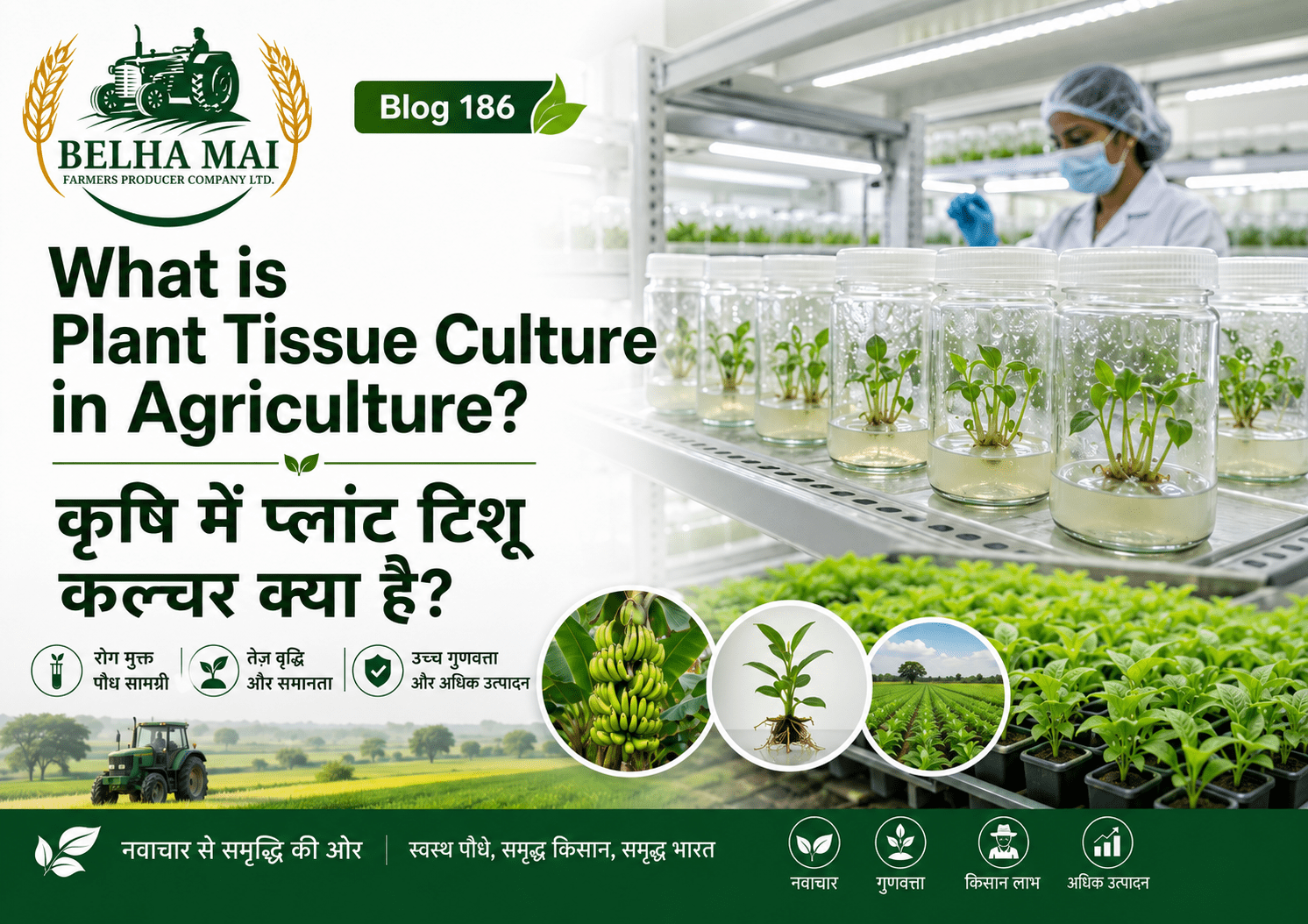 Plant tissue culture in agriculture with disease-free plantlets, high-tech nursery and Belha Mai FPO logo