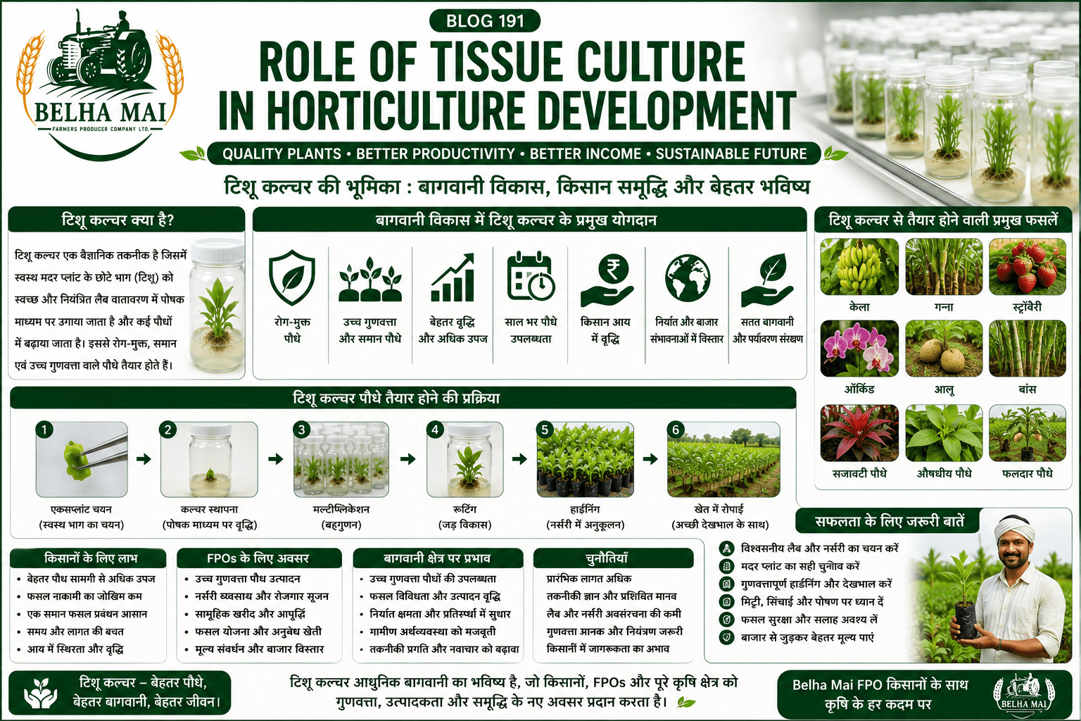 Role of tissue culture in horticulture development with healthy plants, fruit crops, high-tech nursery and Belha Mai FPO logo