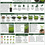 High-tech nursery in agriculture with healthy plants, protected nursery structure, irrigation system and Belha Mai FPO logo