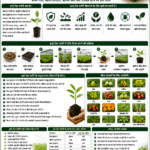 Benefits of high-tech nurseries for farmers with healthy plants, protected nursery, better yield and Belha Mai FPO logo