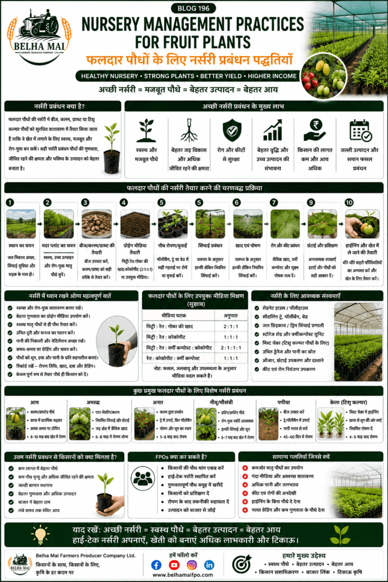 Nursery management practices for fruit plants with healthy seedlings, high-tech nursery and Belha Mai FPO logo