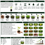 Role of nurseries in improving crop productivity with healthy seedlings, high-tech nursery and Belha Mai FPO logo