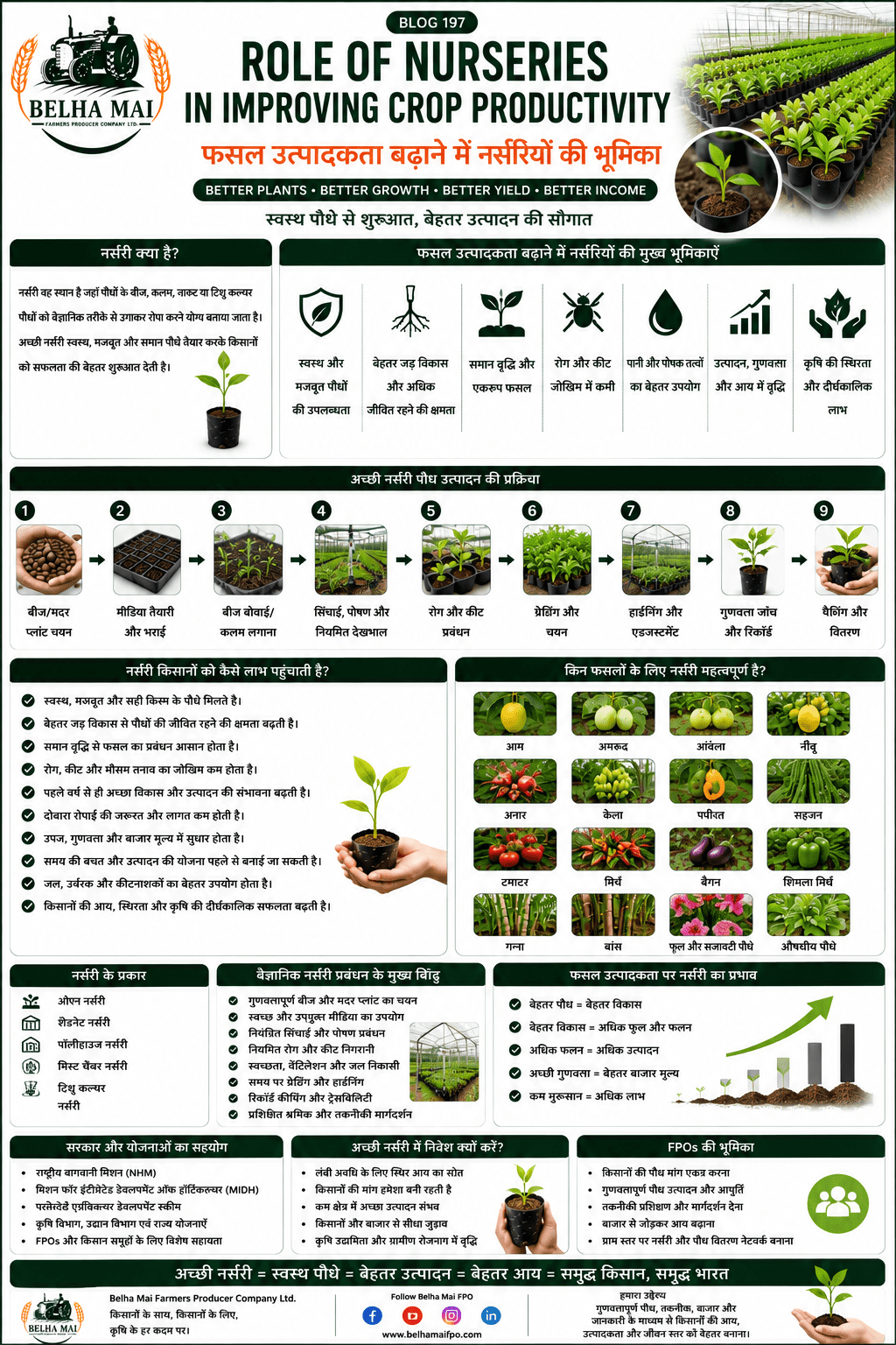 Role of nurseries in improving crop productivity with healthy seedlings, high-tech nursery and Belha Mai FPO logo