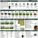 Protected cultivation and nursery development with polyhouse, shade net nursery, healthy seedlings and Belha Mai FPO logo