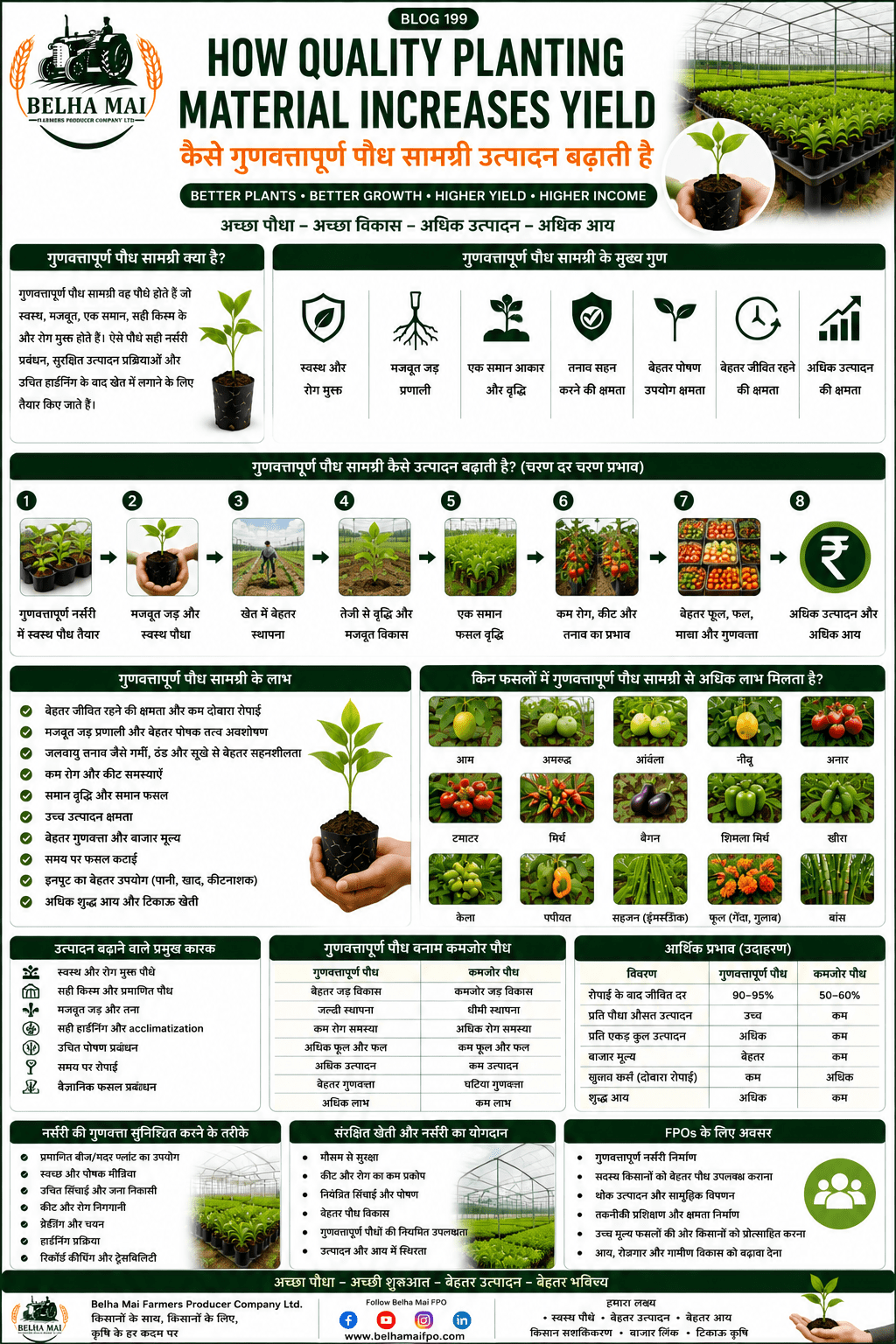 How quality planting material increases yield with healthy plants, strong roots, high-tech nursery and Belha Mai FPO logo