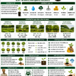 Agroforestry and its benefits with trees, crops, farmer income, climate resilience and Belha Mai FPO logo