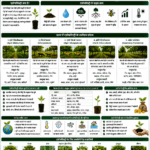 Best agroforestry models in India with trees, crops, livestock, climate resilience and Belha Mai FPO logo