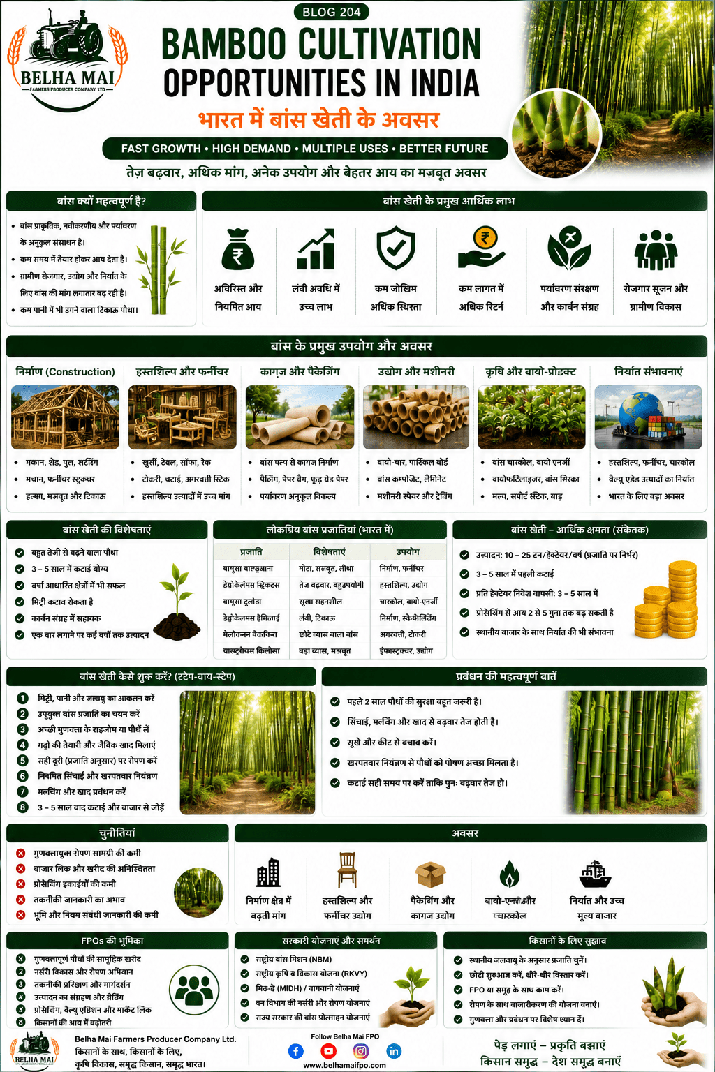 Bamboo cultivation opportunities in India with bamboo plantation, farmer income, agroforestry and Belha Mai FPO logo