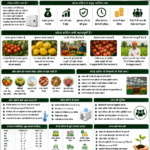 Importance of cold storage in agriculture with fruits, vegetables, storage facility, farmer income and Belha Mai FPO logo