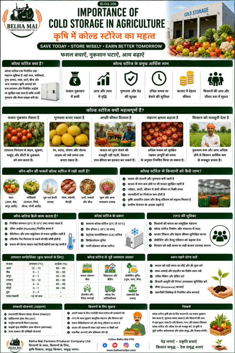 Importance of cold storage in agriculture with fruits, vegetables, storage facility, farmer income and Belha Mai FPO logo
