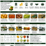 Sorting and grading in agriculture with fruits, vegetables, quality separation, packing and Belha Mai FPO logo
