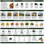 212 How agri supply chains work in India