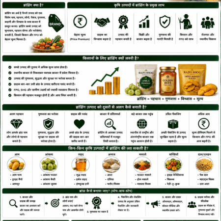 Importance of branding in agriculture products with packaged food products, farmer income, FPO brand and Belha Mai FPO logo