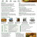 Dehydration in Food Preservation for farmers FPOs and agri businesses by Belha Mai FPO