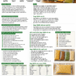 Vacuum Packaging in Agriculture Products for farmers FPOs and agri businesses by Belha Mai FPO