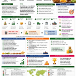 Export Pricing Strategy for agri products by Belha Mai FPO
