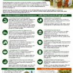 Role of NABARD in rural development for farmers FPOs and rural entrepreneurs by Belha Mai FPO