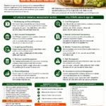Financial management in FPOs for strong farmer producer organisations by Belha Mai FPO