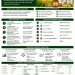 Cost-benefit analysis in agriculture projects for farmers FPOs and agri businesses by Belha Mai FPO