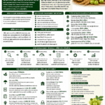 Risk management in agriculture business for farmers FPOs and agri entrepreneurs by Belha Mai FPO