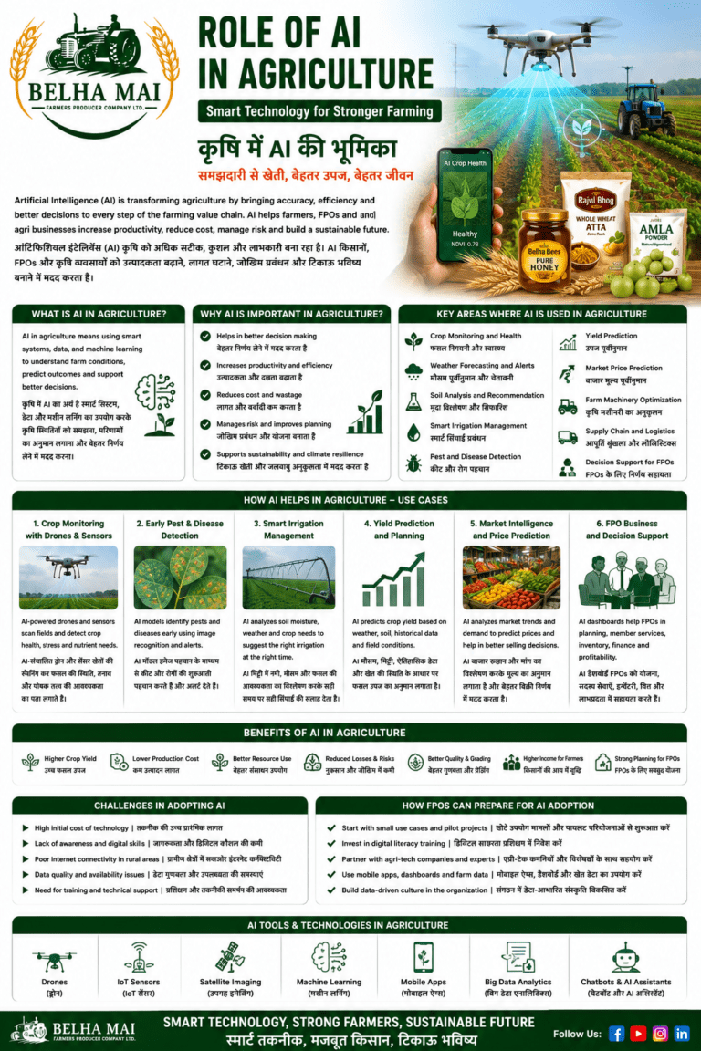 Role of AI in agriculture for farmers FPOs and agri businesses by Belha Mai FPO