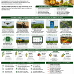 Smart farming technologies in India for farmers FPOs and agri businesses by Belha Mai FPO